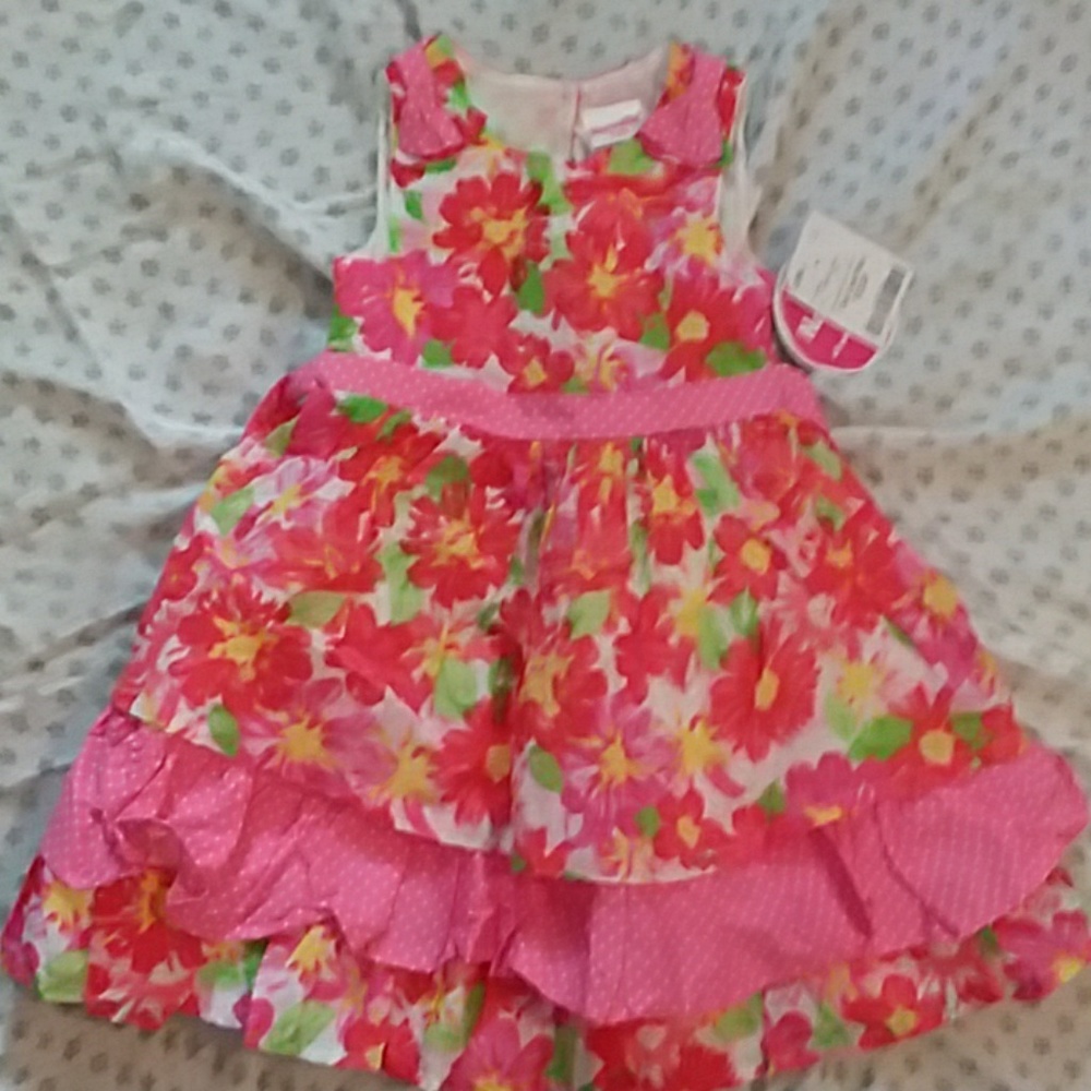 Nanette Kids 4t pink dress